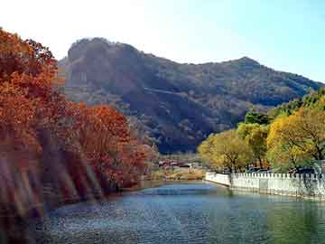 澳门二四六天天彩图库，蜘蛛池